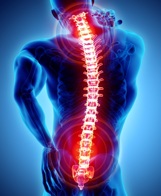 neck and spine specialist image of back