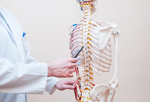 spinal cord injuries